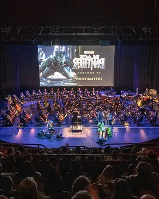 Black Panther In Concert Omaha