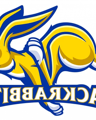 South Dakota State Jackrabbits Omaha