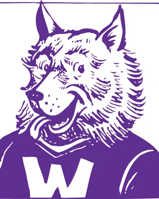 Washington Huskies Lincoln