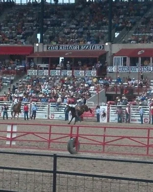 Extreme Bull Riding and BBQ Lincoln
